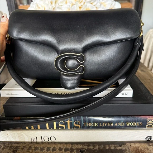 Coach Pillow Tabby - Picture 2 of 10